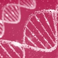 Pink DNA picture
